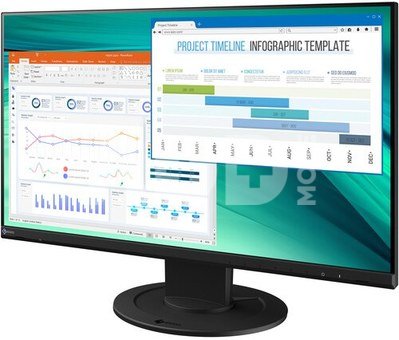 EIZO FlexScan EV2460 black
