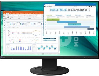 EIZO FlexScan EV2460 black