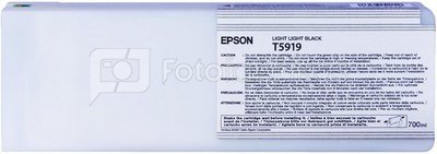 Epson ink cartridge light light black T 591 700 ml T 5919