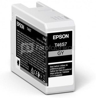 Epson UltraChrome Pro 10 ink T46S7 Ink cartrige, Grey