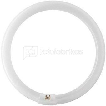 Falcon Eyes Spare Ring Lamp for FLC-40 40W