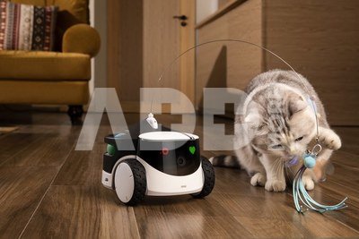 Enabot ROLA PetPal Family Robot IP Camera, White