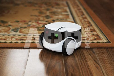 Enabot ROLA PetPal Family Robot IP Camera, White