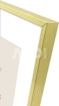 Focus Aster Gold 40x50/PP 30x40