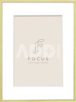 Focus Aster Gold 40x50/PP 30x40
