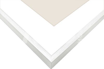 Focus Aster Silver 30x40/PP 20x30