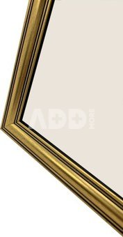 Focus Holly Gold 13x18