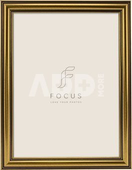 Focus Holly Gold 15x20