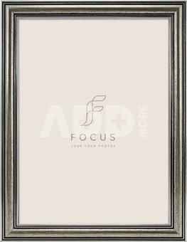 Focus Holly Silver 18x24