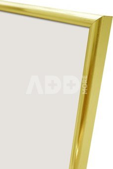 Focus Lily Gold 21x30