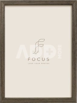 Focus Willow Walnut 21X29,7 (A4)