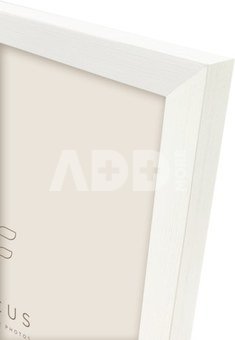 Focus Willow White 20x20