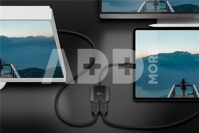 Goobay USB-C Adapter to 2x DisplayPort | 60171