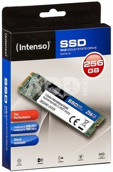 Intenso SSD M.2 Top 256GB 3832440