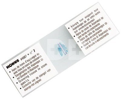 Konus Preparation Set Teaching Biology 1 (10 Pcs)
