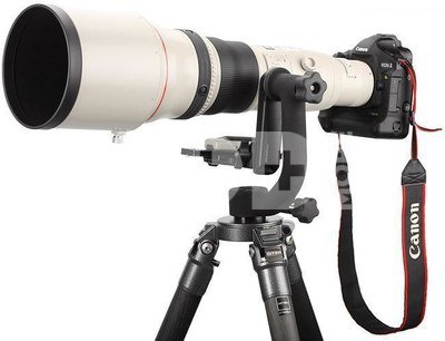 Lense Canon EF 800mm f/5.6L IS USM