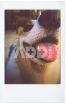 Lomography Lomo Instant Automat Glass - Serengeti