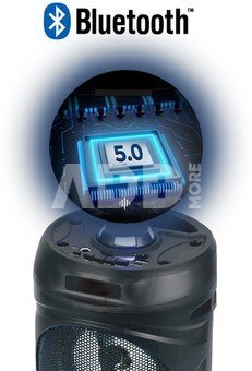 Manta SPK815