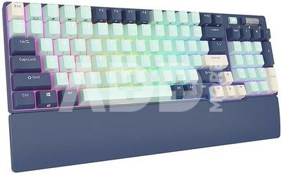 Mechanical keyboard Royal Kludge RK96 RGB, red switch (blue)