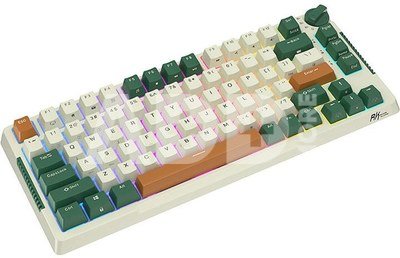 Mechanical keyboard Royal Kludge RKH81 RGB, Sky cyan switch (green)