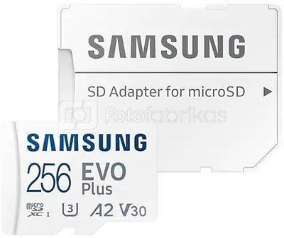Samsung microSDXC EVO Plus 512GB with Adapter MB-MC512KA/EU