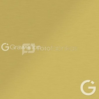 Metalinė plokštė E-PLATINUM, auksinė semi matt 61x30,5 (Nr. 36) 0,4 mm