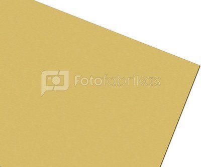 Metalinė plokštė PLATINUM, auksinė semi-matt 61x30,5 (Nr. 16) 0,5mm