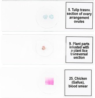Discovery Prof Specimens DPS 25. &ldquo;Biology, Birds, etc.&rdquo;