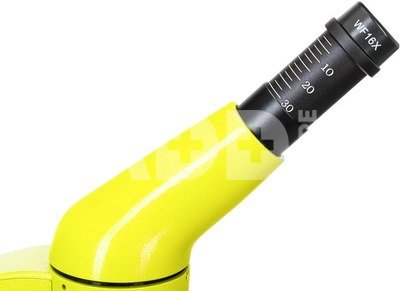 Mикроскоп Levenhuk Rainbow 50L PLUS Lime 64x-1280x с экспериментальным комплектом К50