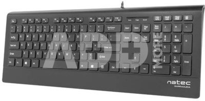 Natec Keyboard, Barracuda, US Layout, Slim