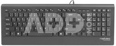 Natec Keyboard, Barracuda, US Layout, Slim