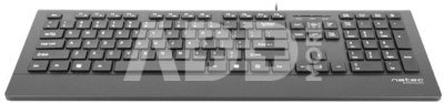 Natec Keyboard, Barracuda, US Layout, Slim