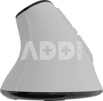 Natec Mouse | Euphonie Pro | Wireless | 2.4 GHz, Bluetooth | White