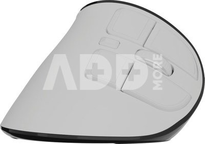 Natec Mouse | Euphonie Pro | Wireless | 2.4 GHz, Bluetooth | White