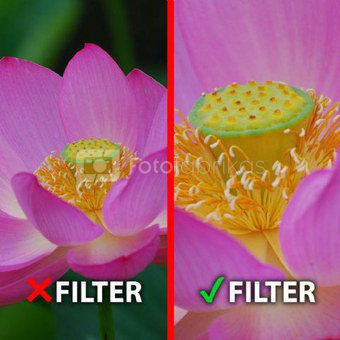 Objektyvų filtras MARUMI Marumi Macro +3 Filter DHG 62 mm
