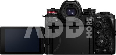 Panasonic Lumix S1RII body