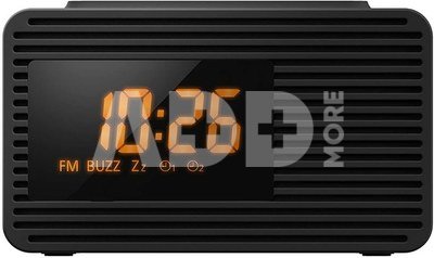 Panasonic RC-800EG-K FM Radio