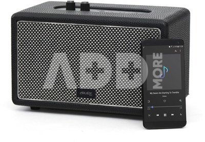 Platinet wireless speaker Crude BT PMG097 (44417)