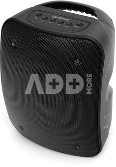 Platinet wireless speaker PMG250 Party 10W (45229)
