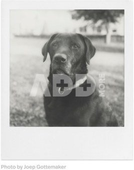 POLAROID B&W FILM FOR SX-70