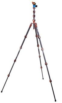 Pro 2.0 Albert Carbon tripod & AirHed Pro Bronze