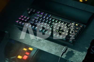 Razer keyboard Huntsman V2 Tenkeyless Purple Switch NO