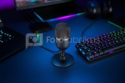 Razer Seiren Mini Condenser Microphone, Black, Wired