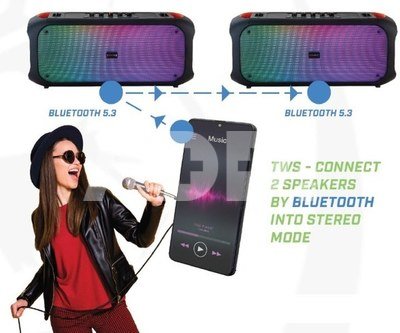 Rebeltec Bluetooth Speaker FM/USB SoundVox 650