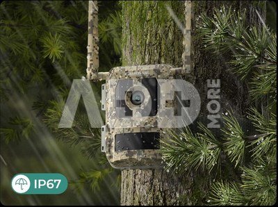 Reolink | 4K 4G Cellular Trail Camera with Live Streaming | Talon Series S130