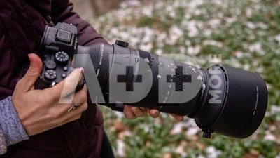 Sigma 60-600mm F4.5-6.3 DG DN OS L-Mount [Sports]