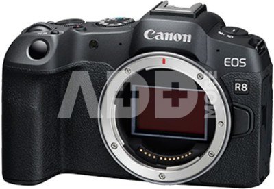 Canon EOS R8 + RF24-105 F4-7.1 IS STM