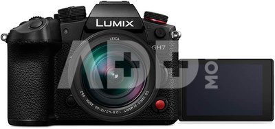Panasonic Lumix GH7 + 12-60mm F/2.8-4.0 Leica DG Vario Elmarit ASPH POWER OIS