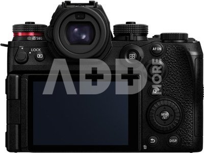 Panasonic Lumix S1RII body