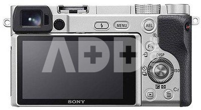 Sony A6100 + E 16-50mm F3.5-5.6 PZ OSS II silver